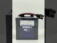 Herewin Pin bán rắn 18S 66.6V 65000mAh
